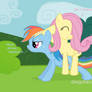 Rainbow Dash and Fluttershy training Wallpaper