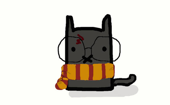 Potter Cat