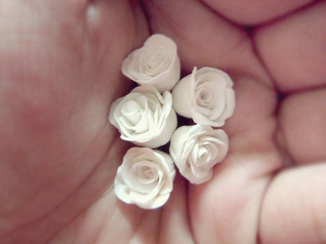White little roses