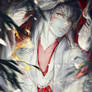 The fox spirit