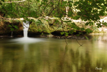 Along the river