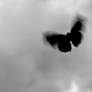 the butterfly effect