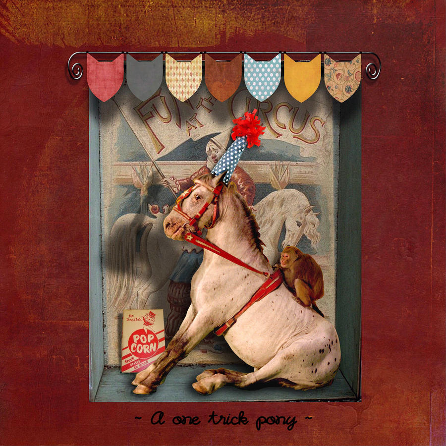 A one trick pony by montybearkins