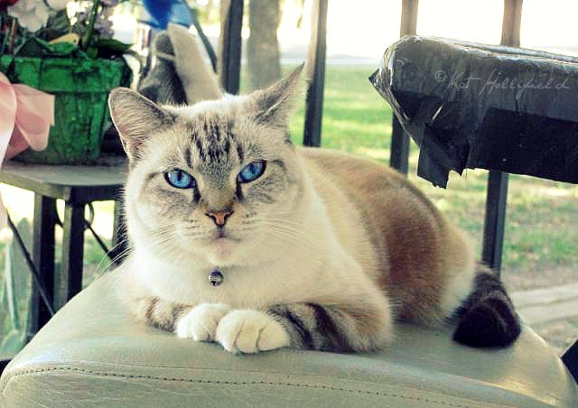 Sitting on Grandpa's Chair