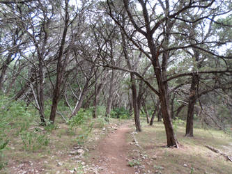Mother Neff Trail