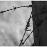 Prairie Series - Barbed Wire Fence (B+W)