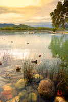 Estany de Banyoles IV