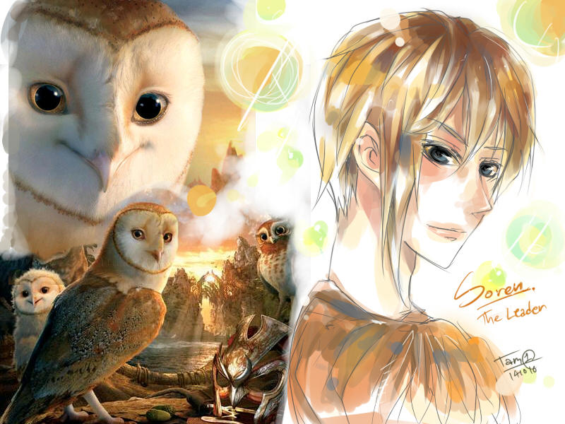 Owl S Evolution 01 Soren By Tam Ichi On Deviantart