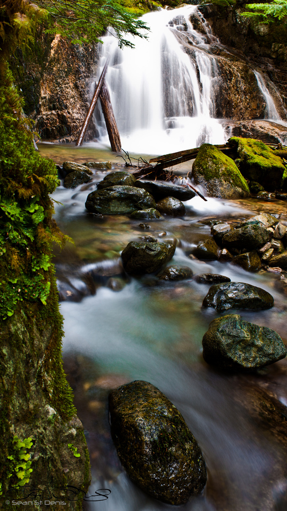 Down by the river