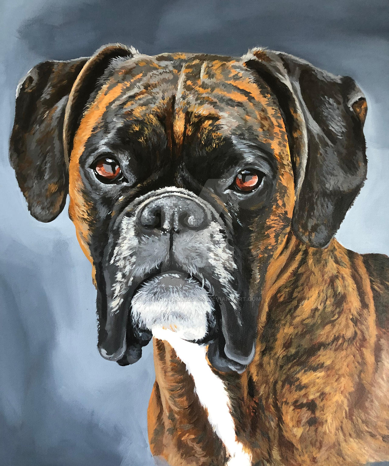 Deviantart Boxer Dog Portrait of a Boxer Dog by CapricornGoddessArt on DeviantArt