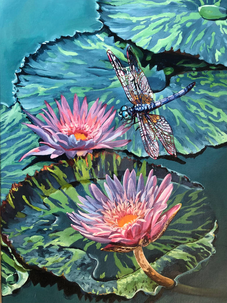 Rick Riker Dragonfly Deviantart Dragonfly by CapricornGoddessArt on DeviantArt