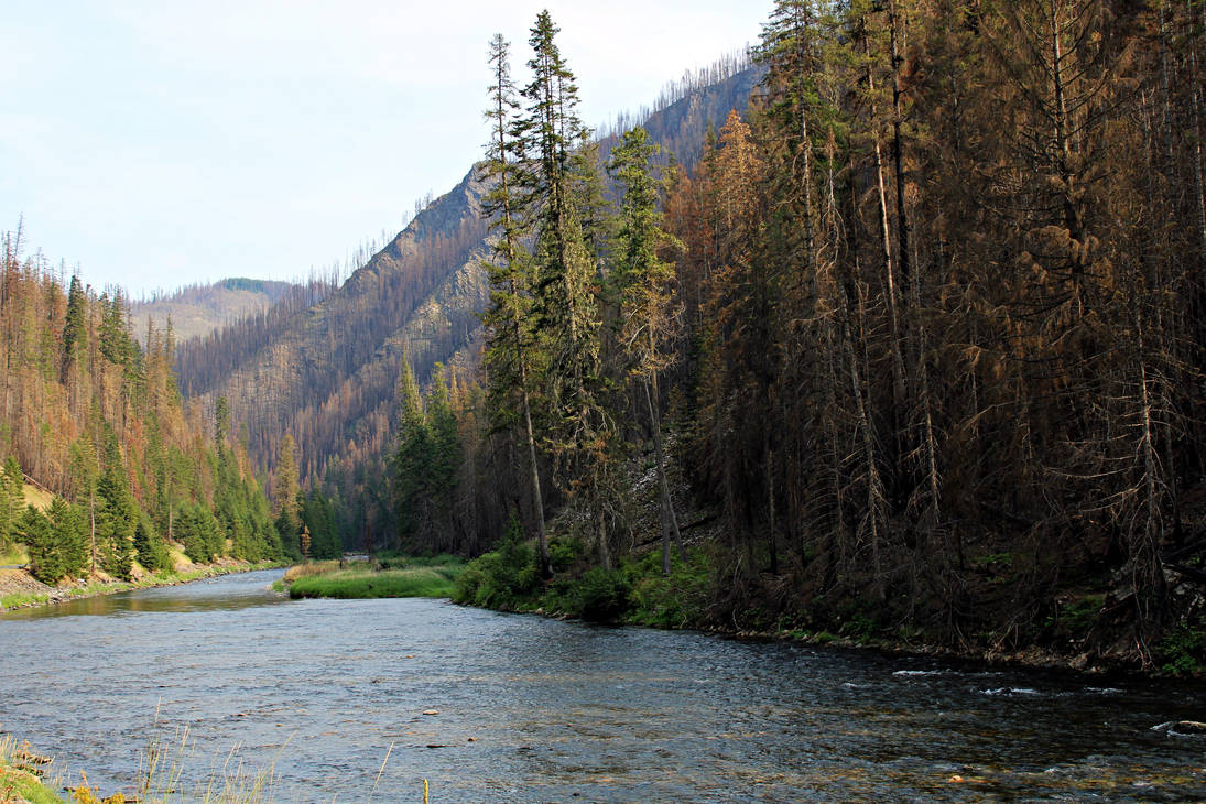 Upper St. Joe River by BrittsCreations on DeviantArt