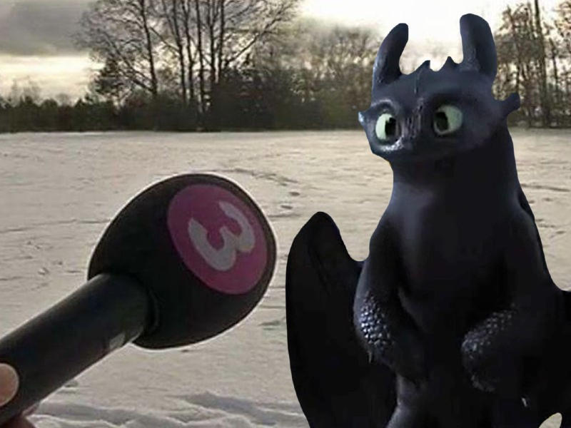 Toothless gets intreviewed by Dragondinolover84 on DeviantArt