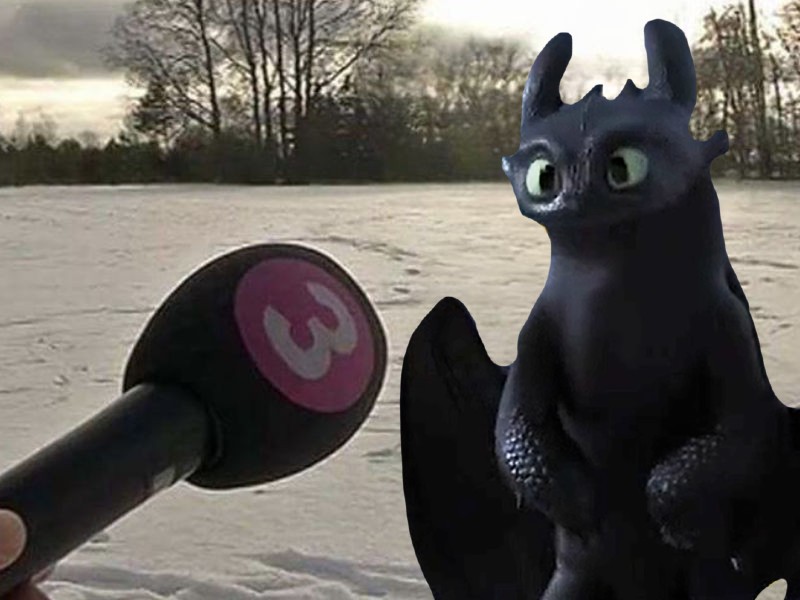 Toothless gets intreviewed by Dragondinolover84 on DeviantArt