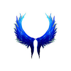 Valkyrie wings in colour.