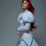 Ariel: princess of land and sea