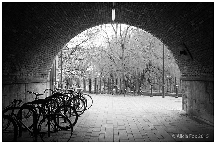 Bikes in Bath, UK 01