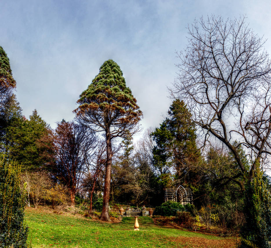 Panorama 3167 blended fused pregamma 1 mantiuk06 c by bruhinb