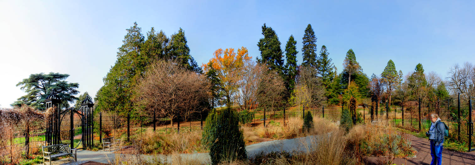 Panorama 3169 blended fused pregamma 1 fattal alph by bruhinb