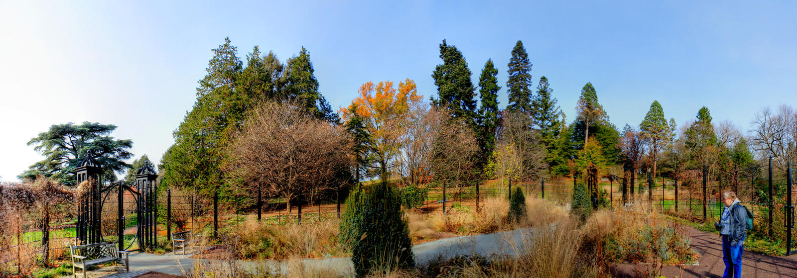 Panorama 3169 blended fused pregamma 1 fattal alph by bruhinb
