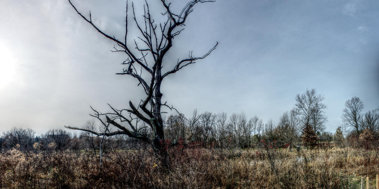Panorama 3174 blended fused pregamma 1 mantiuk06 c by bruhinb