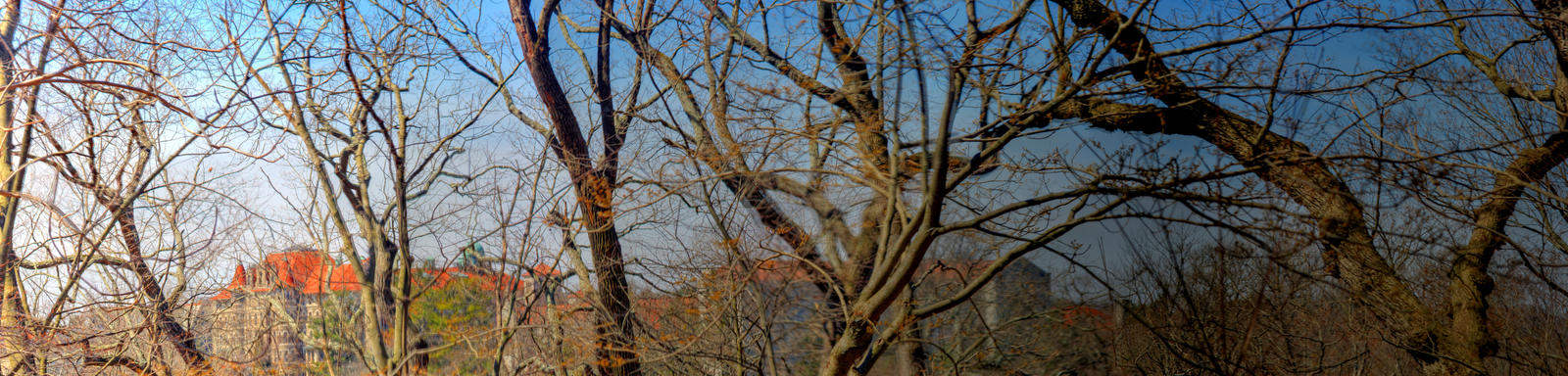 Panorama 3216 blended fused pregamma 1 fattal alph by bruhinb