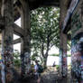 Panorama 3409 hdr pregamma 1 mantiuk06 contrast ma