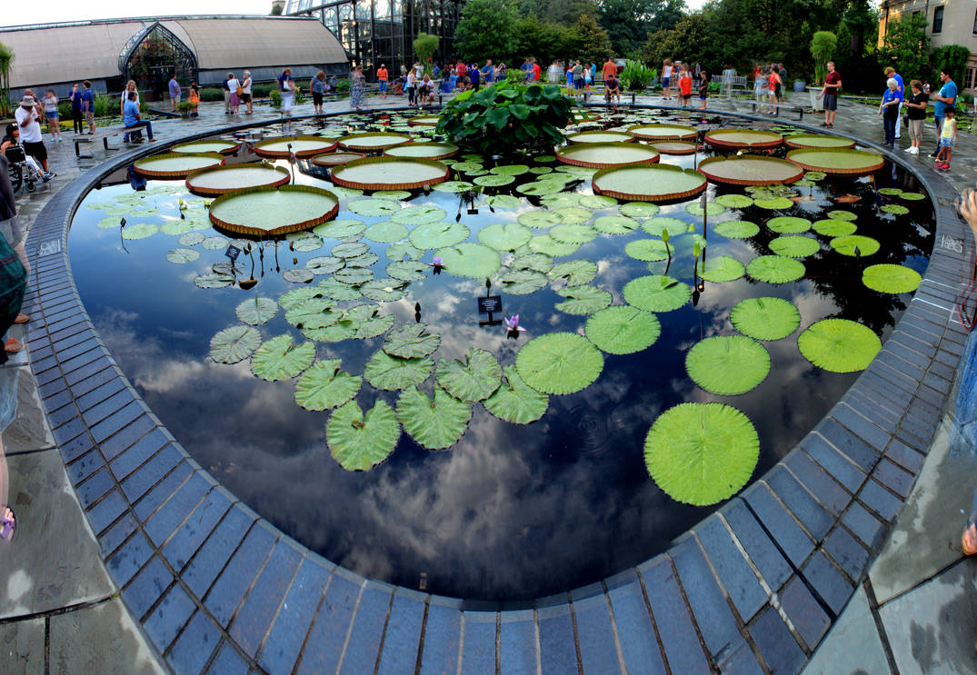 Panorama 3445 blended fused by bruhinb