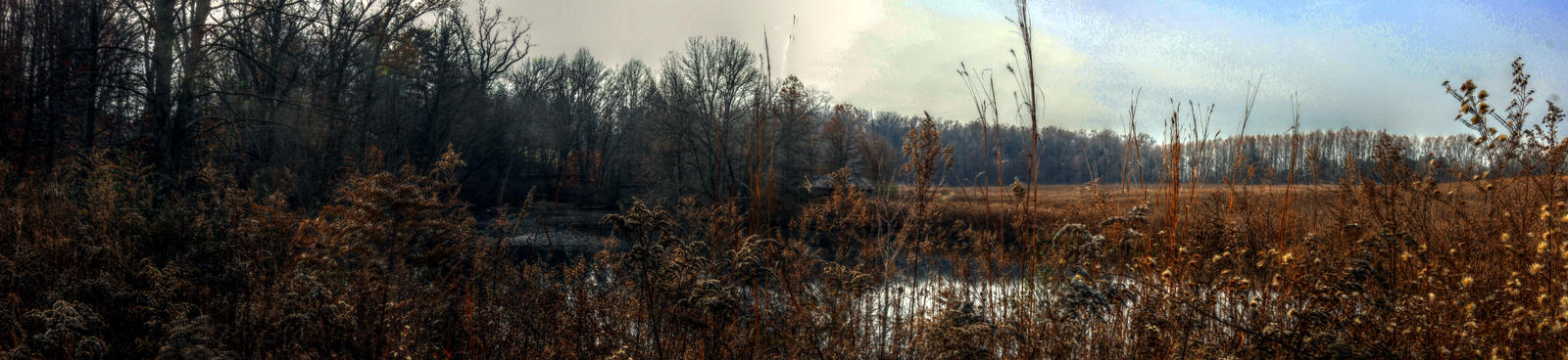 Panorama 3503 hdr pregamma 1 mantiuk06 contrast ma by bruhinb