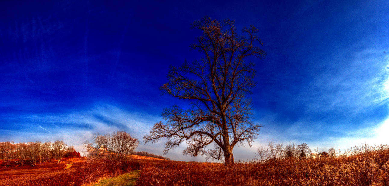 Panorama 3506 hdr pregamma 1 mantiuk06 contrast ma by bruhinb