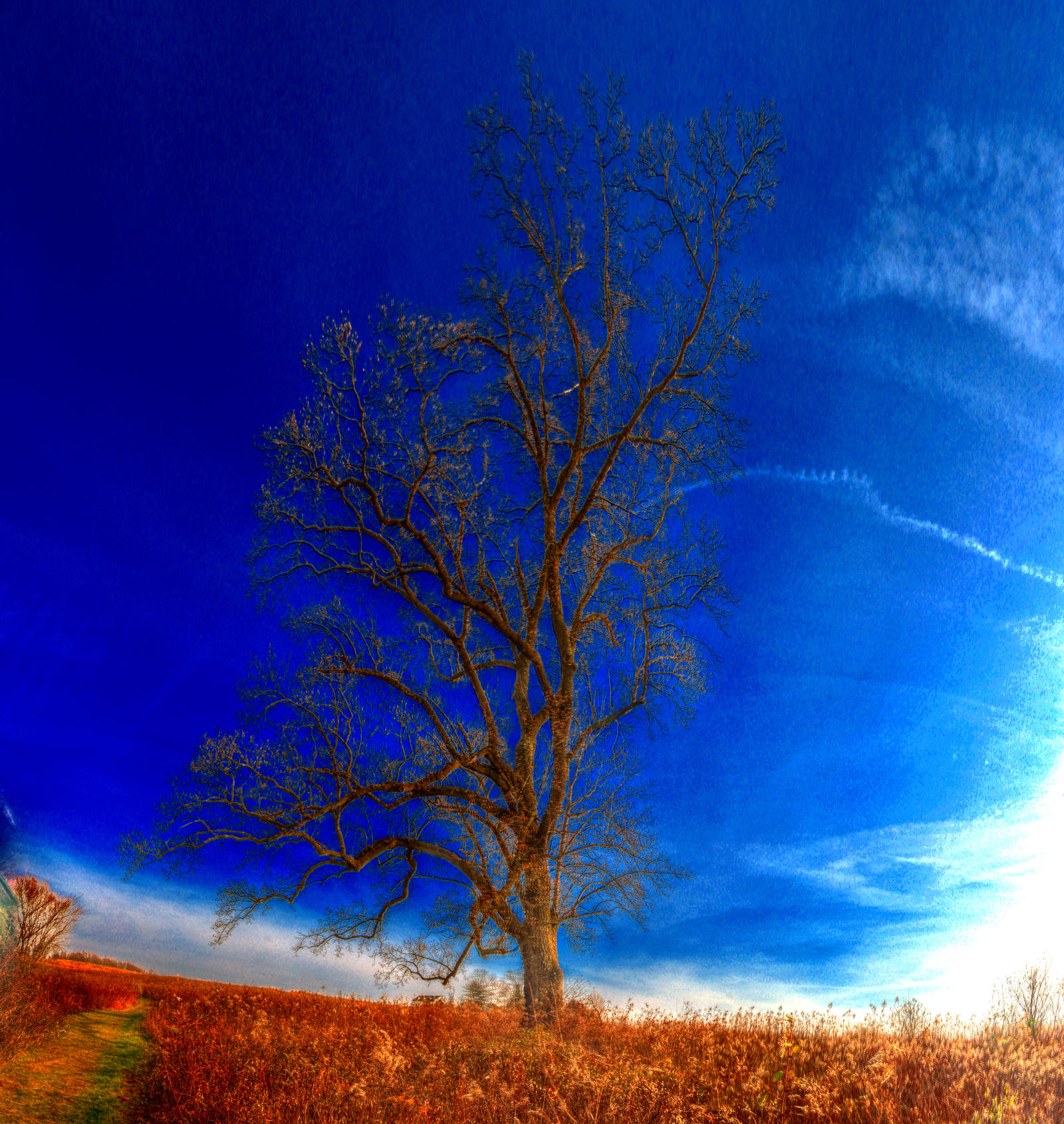 Panorama 3509 hdr pregamma 1 mantiuk06 contrast ma by bruhinb