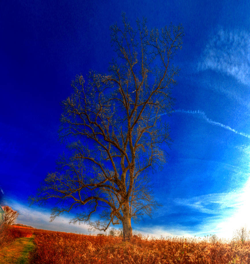 Panorama 3509 hdr pregamma 1 mantiuk06 contrast ma by bruhinb