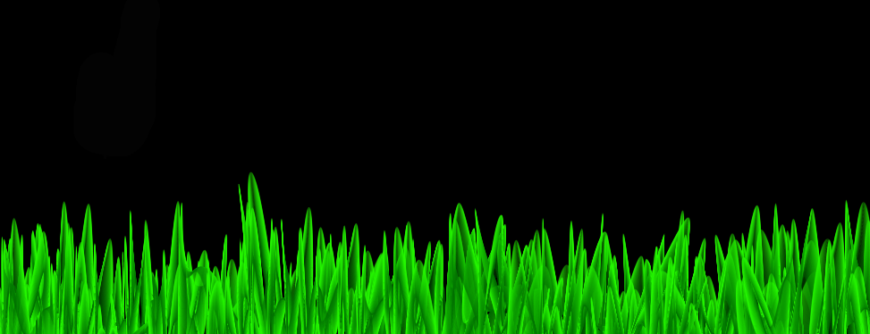 Grass