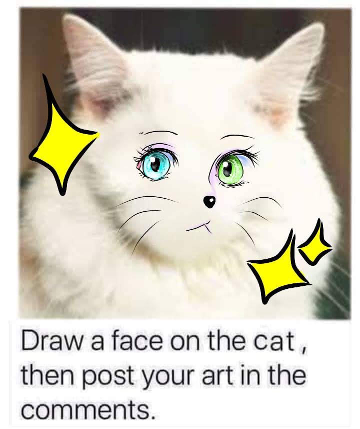 draw cat face meme by duskinova on DeviantArt