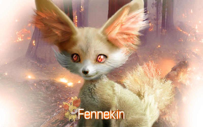 POKEMON X Y FENNEKIN