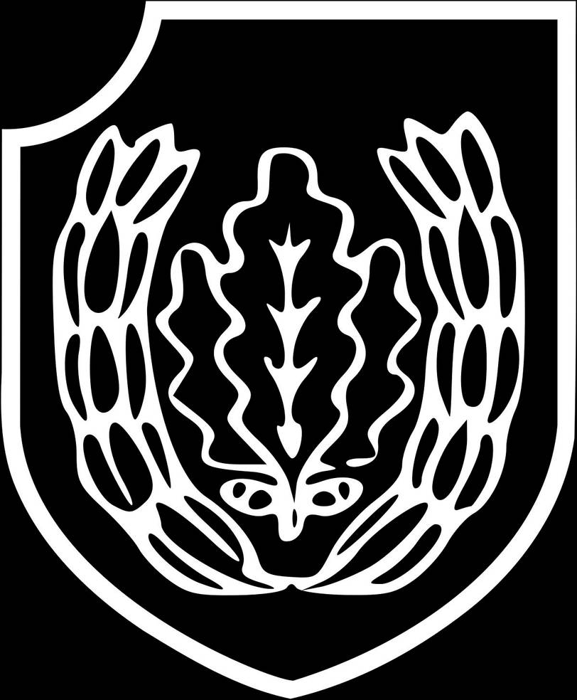Reichsfhrer-SS division shield by gamertester1111 on DeviantArt