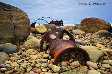 The Wreck of the S. S. Ethie, Newfoundland