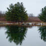 Mirror mirror on a lake...