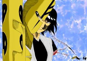 Bleach: Soi-fon