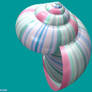 Candy Snail Shell