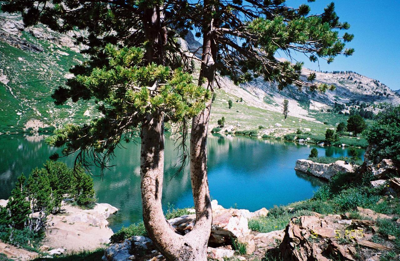 Lamoille Lake