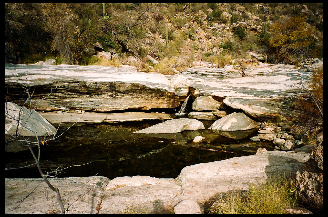 Sabino Canyon 3