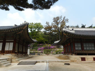 Buildings and nature - Changgyeonggung Palace