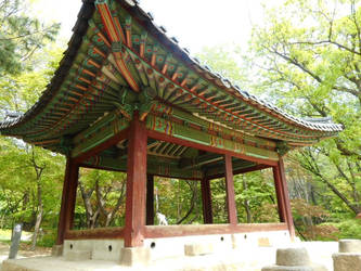Temple keeper cat - Changgyeonggung Palace