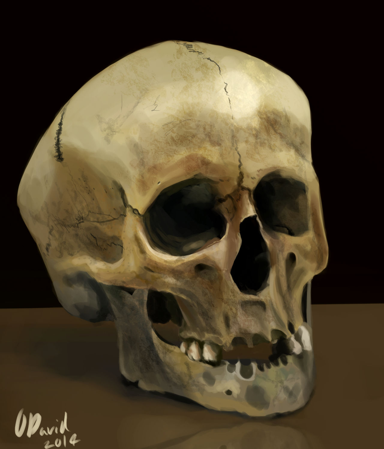 Spookyscaryskull