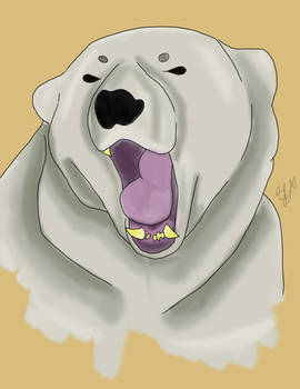 Polar bear roar 