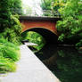 cool river path