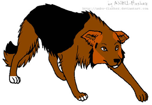 My Adoptable Collie 1 closed