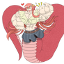 Muscle Miia