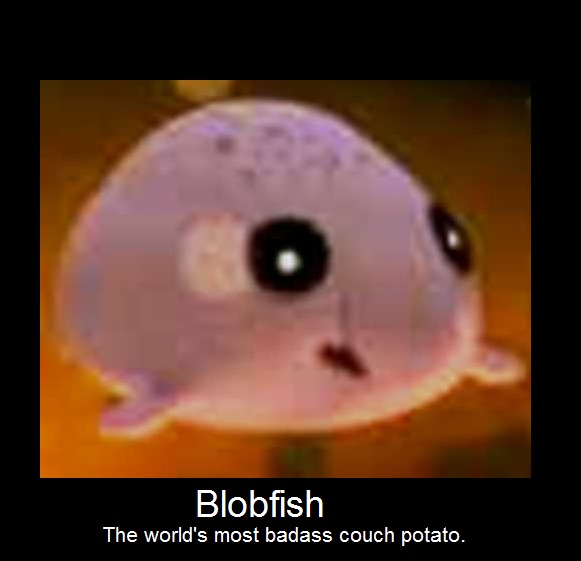 Blobfish meme by DitoSlothy123 on DeviantArt